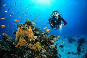 Aggressor_Janez_Kranjc (c) Plan your next dive trip!