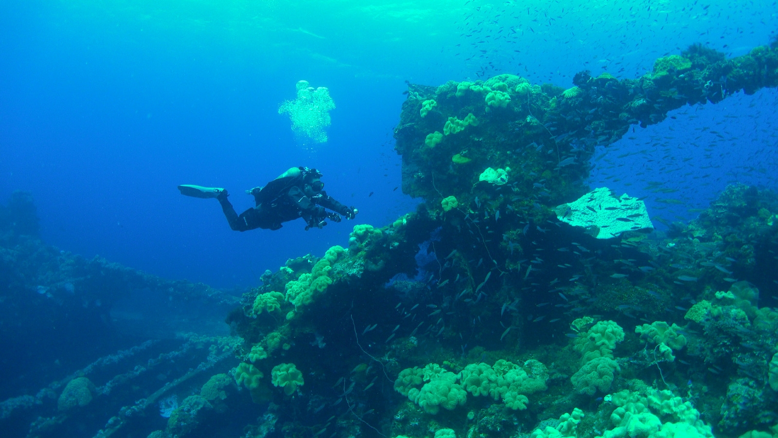 Diving in Chuuk Lagoon