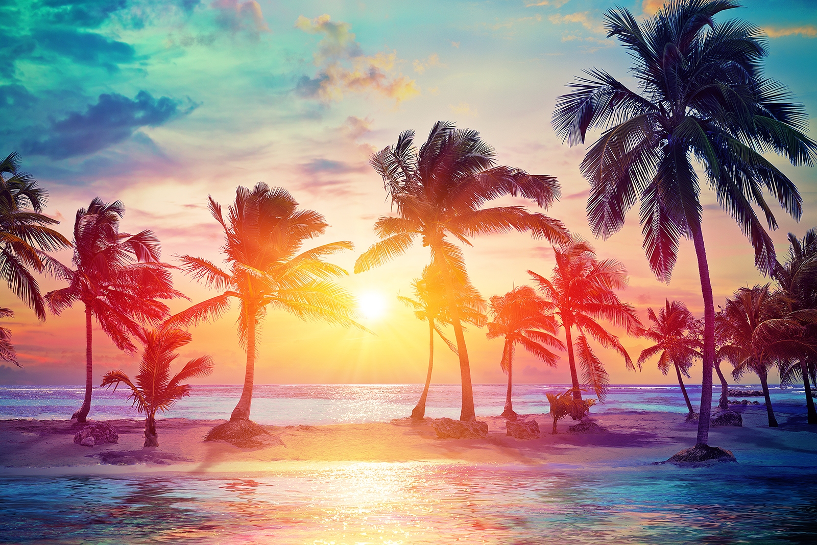 Palm Trees Silhouettes On Tropical Beach At Sunset - Modern Vintage Colors (c) Bahamas