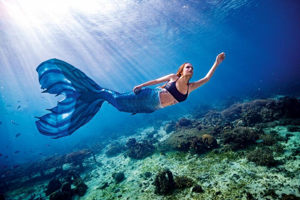 Presentation-Mermaid Image