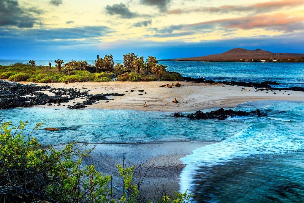 Galapagos islands best places to scuba dive
