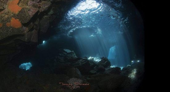 Underwater landscapes typical of La Palma diving