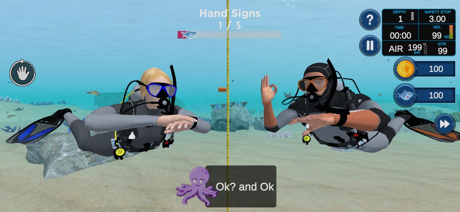  (c) Virtual Divers International